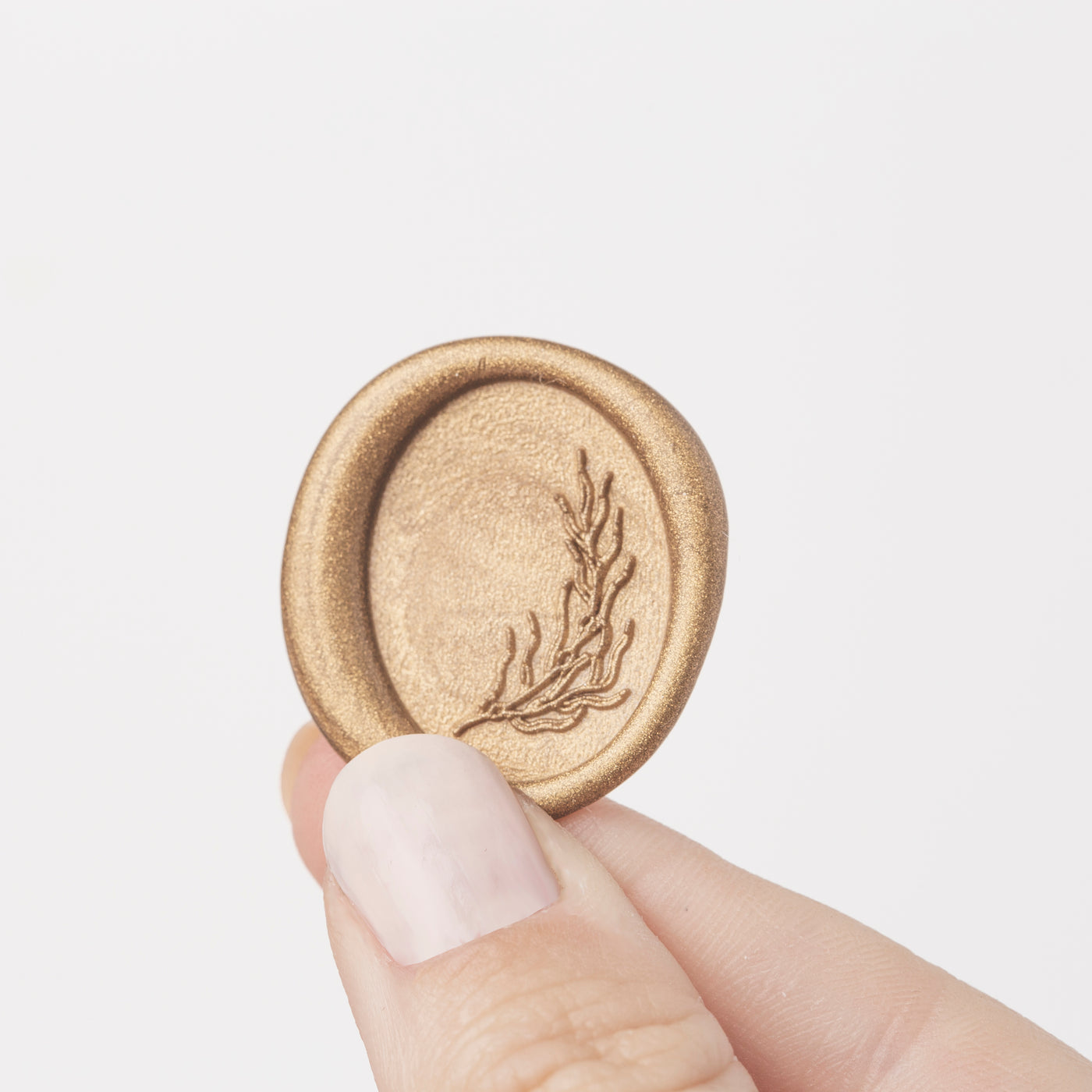 Rockweed Seaweed Oval Self Adhesive Wax Seal | Coastal Beach Wedding Wax Seal | Sea Breeze | Heirloom Seals 